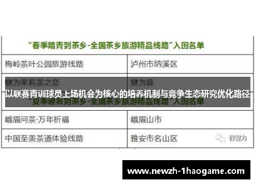以联赛青训球员上场机会为核心的培养机制与竞争生态研究优化路径